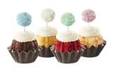 Soft Pastel Pom Poms (Includes 12)
