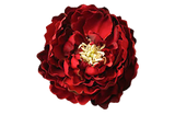 Red Peony